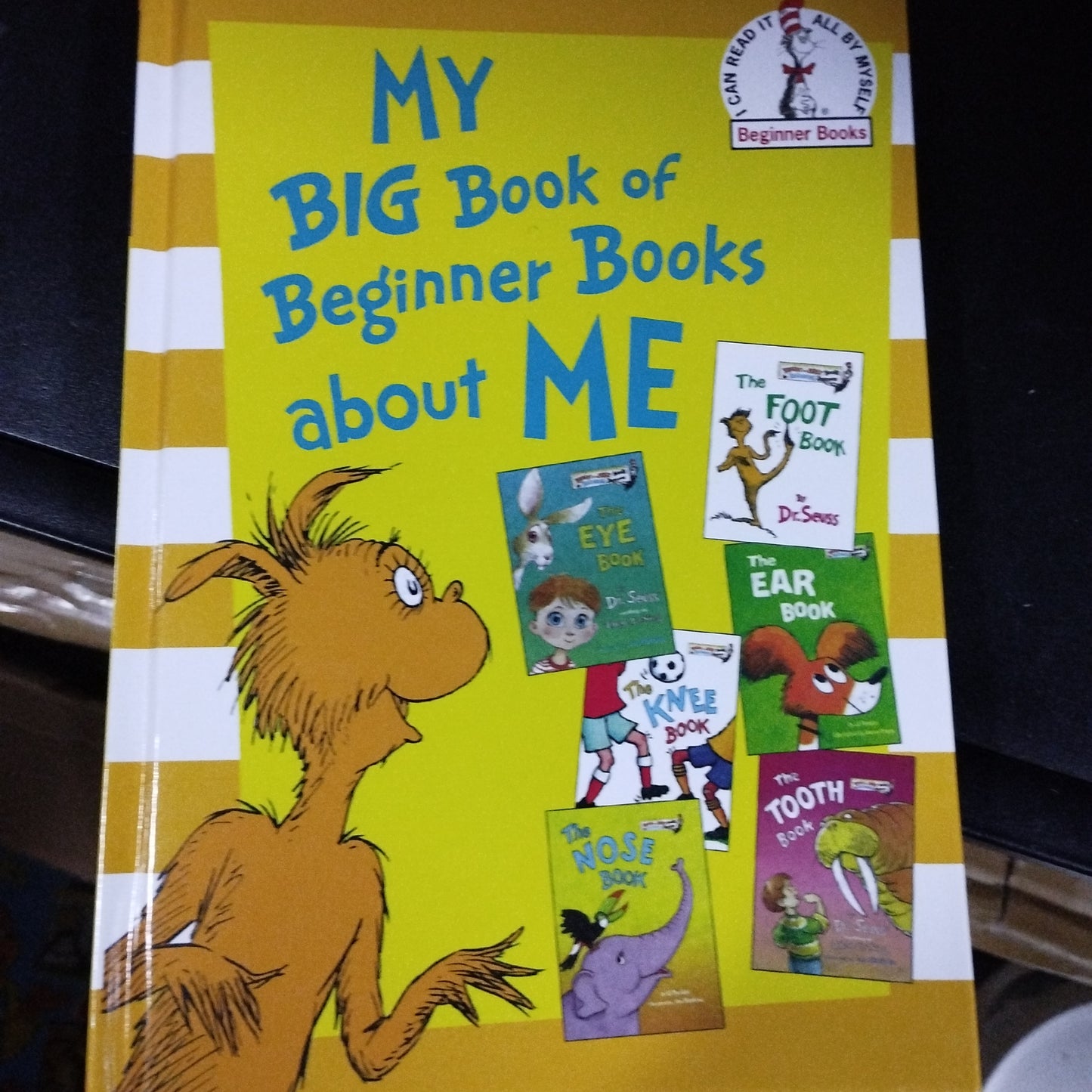 MY BIG Book of Beginner Books about ME