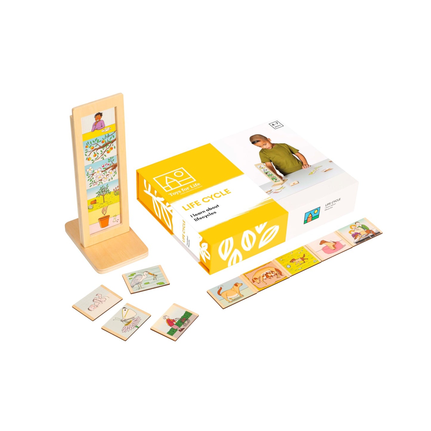 Toys for Life - Life Cycle Sequencing & Stacking Game 生命疊序遊戲