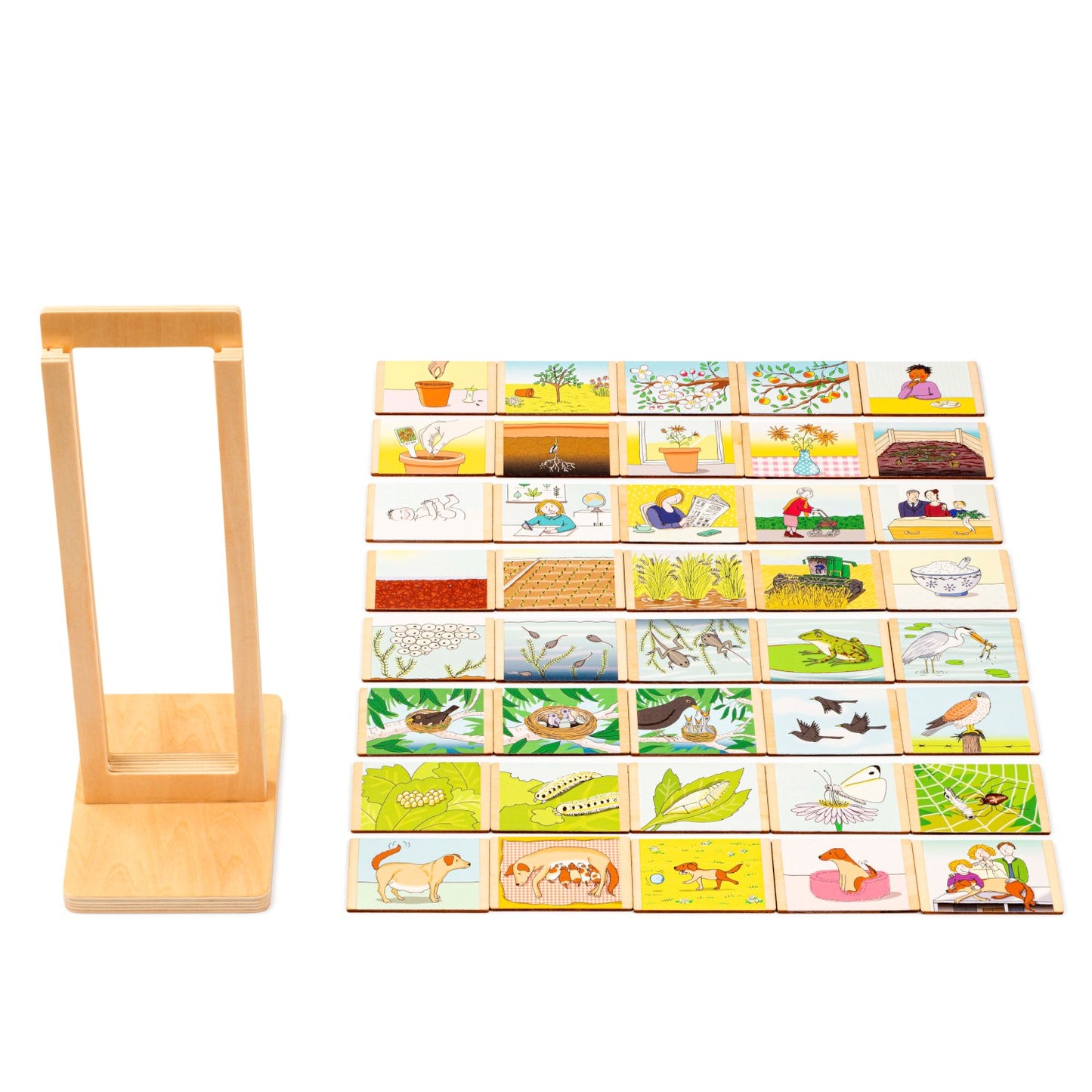 Toys for Life - Life Cycle Sequencing & Stacking Game 生命疊序遊戲