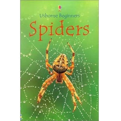 Usborne Beginners Spiders