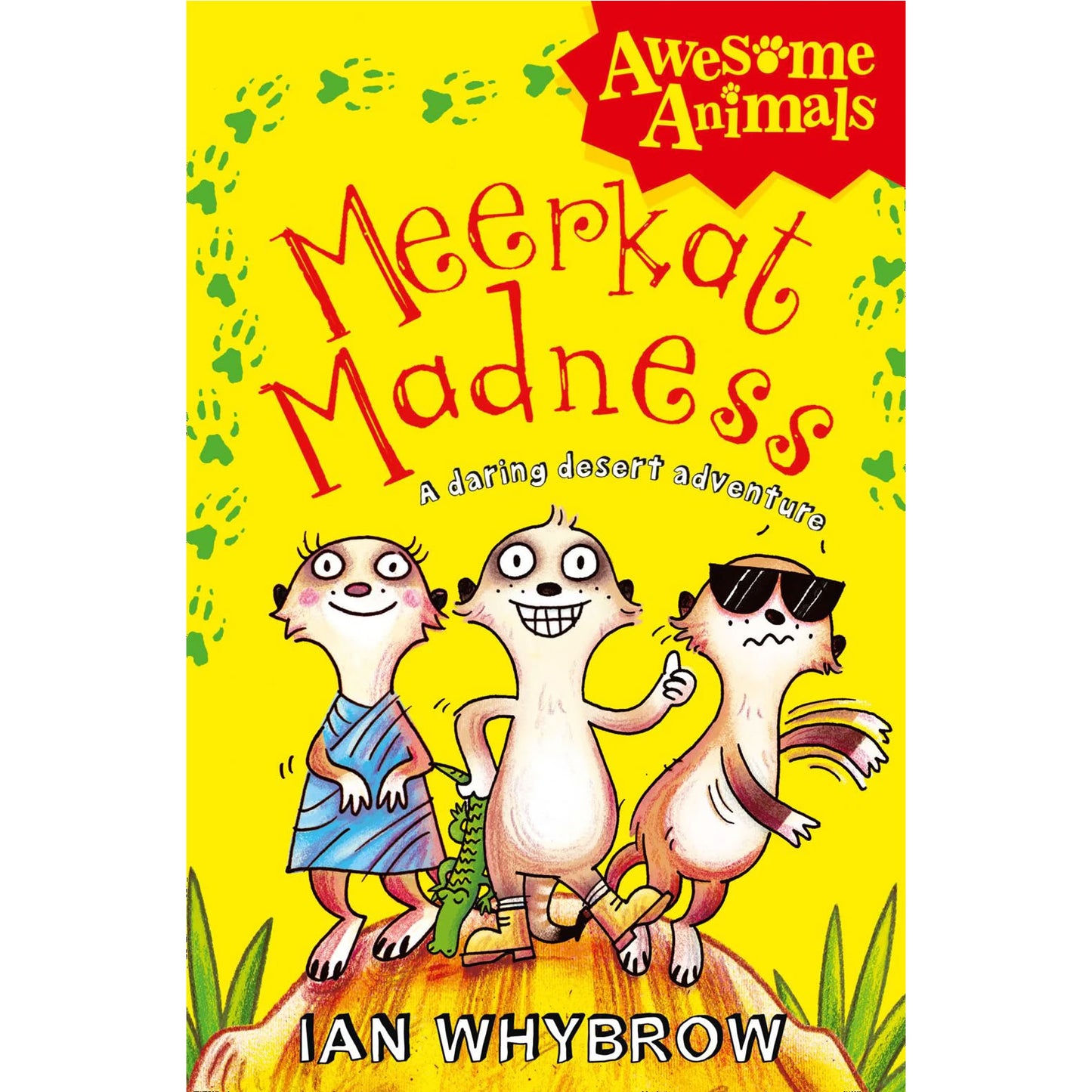 Awesome Animals - Meerkat Madness