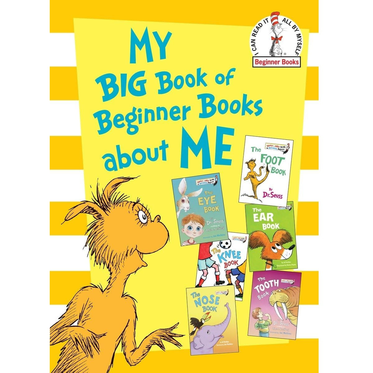 MY BIG Book of Beginner Books about ME