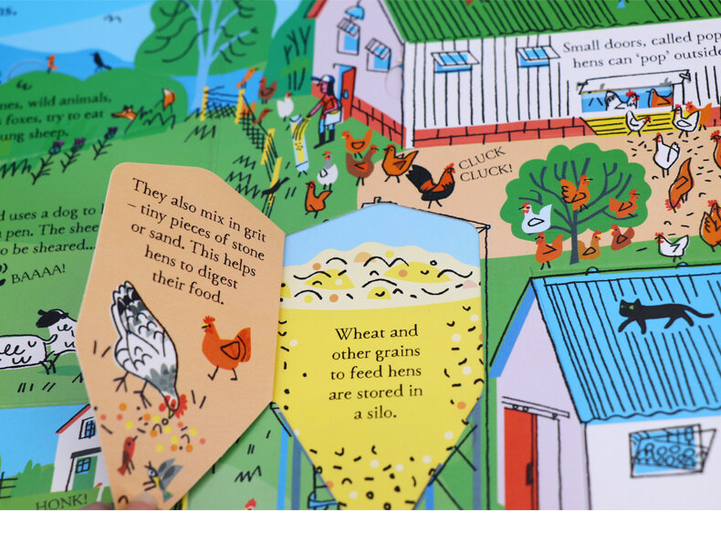 Usborne See Inside Where Food Comes From 食物從何來 深入認識百科翻翻書