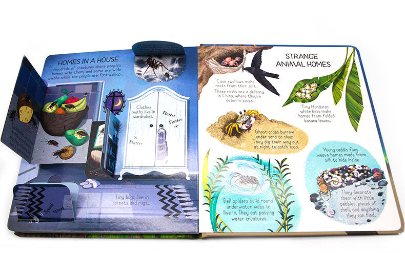 Usborne Look Inside Animal Homes Look Inside Animal Homes 動物的家 揭秘系列翻翻書