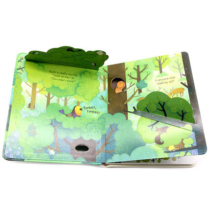 Usborne Peep inside The Forest 偷偷看森林揭秘 幼兒小翻頁紙板書