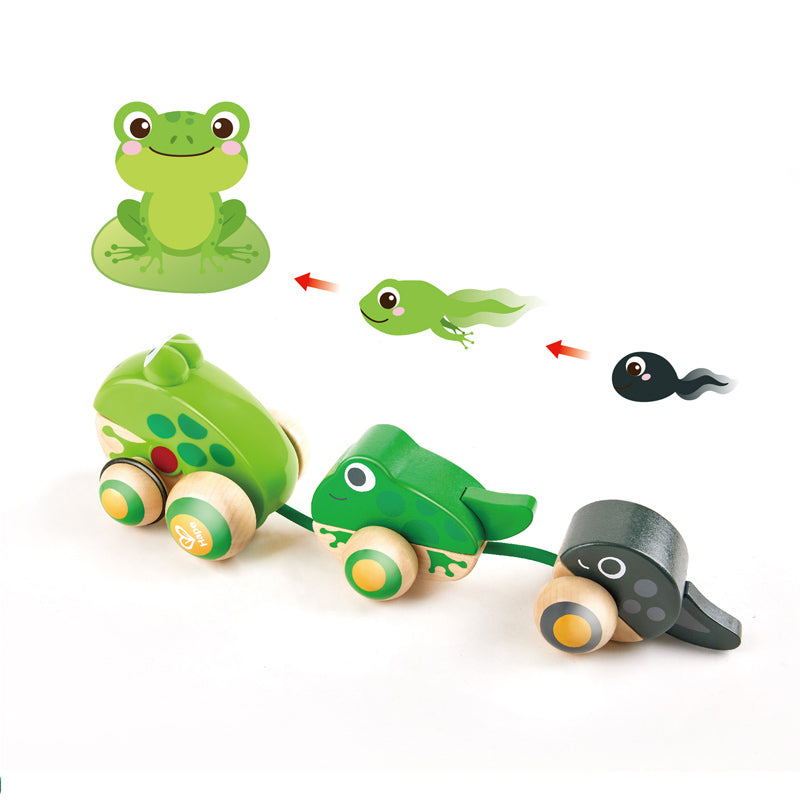 Hape Pull-Along Frog Family  拖拉青蛙家族