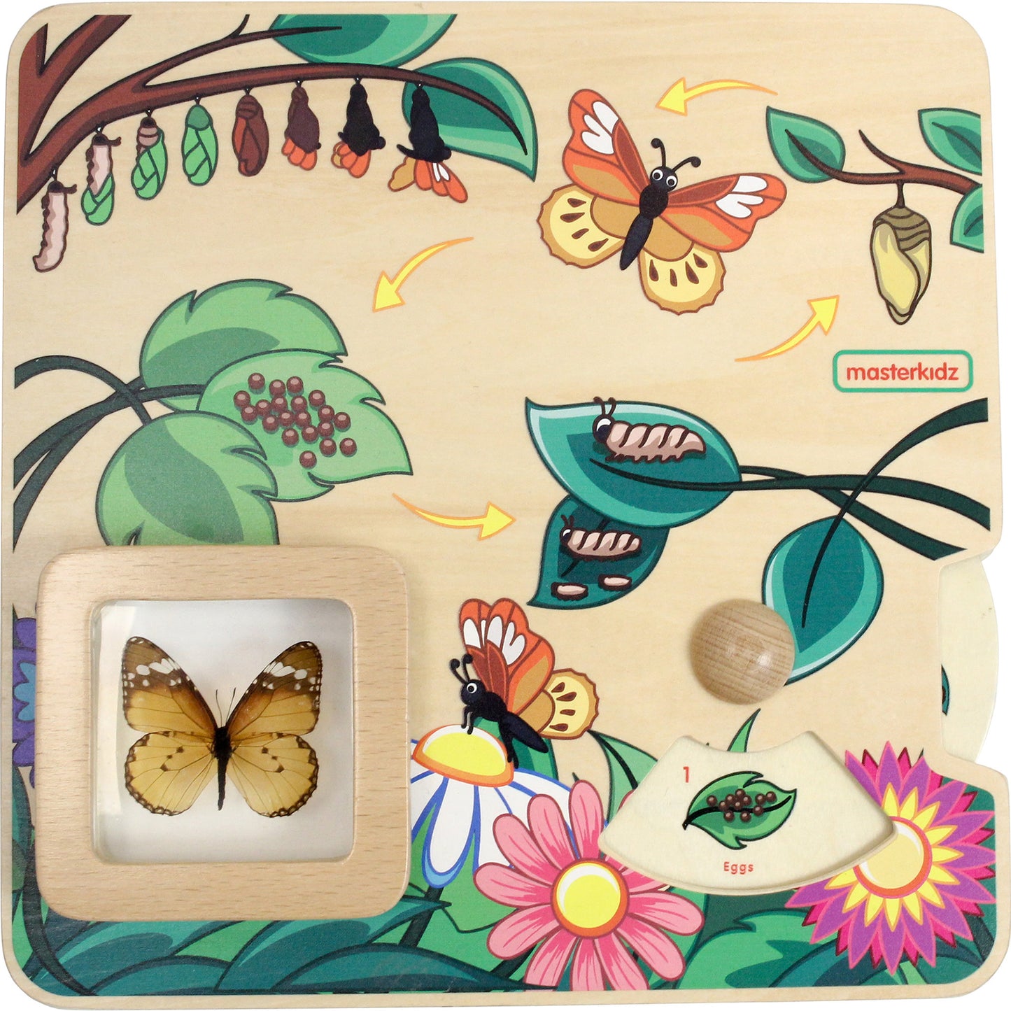 Masterkidz Butterfly Life Cycle Handy Learning  Board 蝴蝶成長學習板