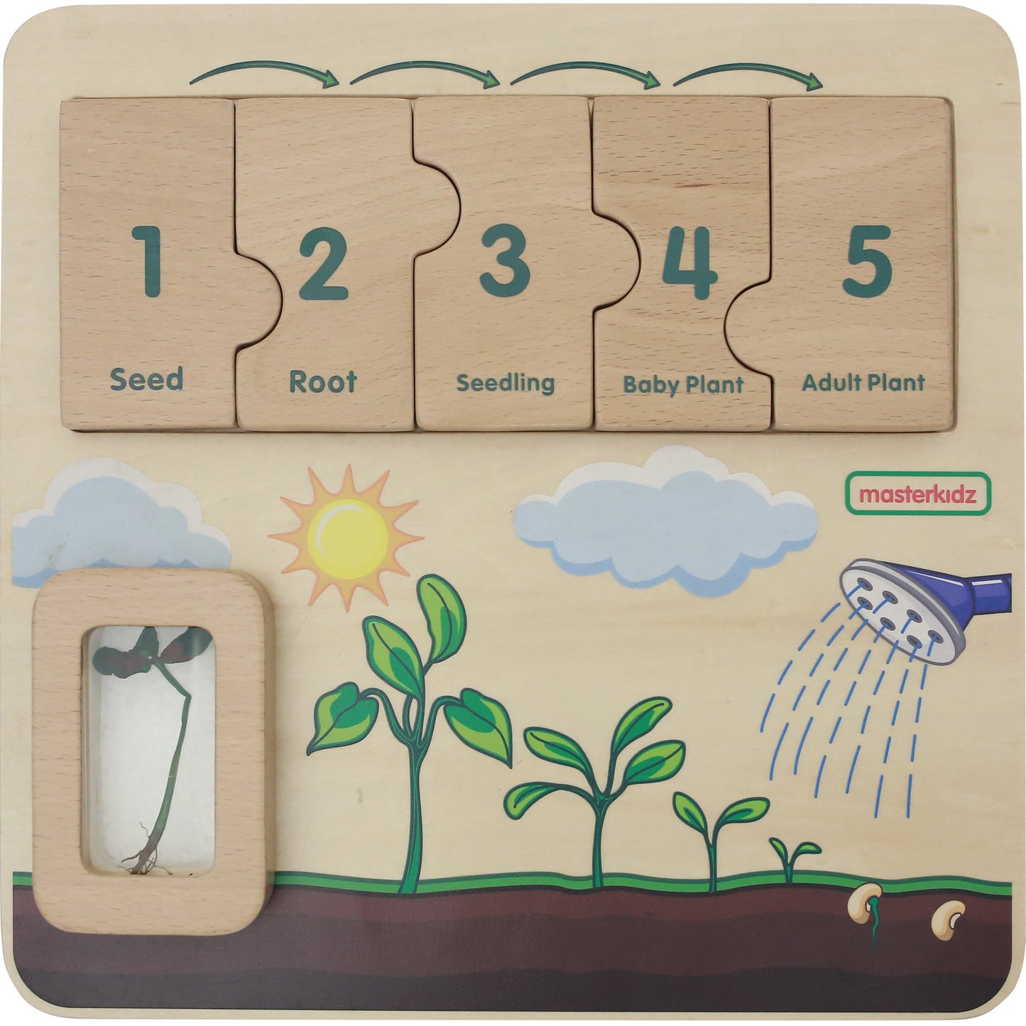 Masterkidz Plant Life Cycle Handy Learning  Board 植物成長學習板