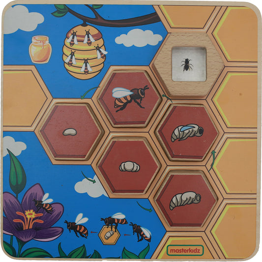 Masterkidz Bee Life Cycle Handy Learning  Board 蜜蜂成長學習板