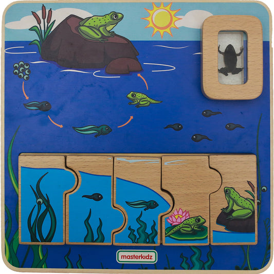 Masterkidz Frog Life Cycle Handy Learning  Board 青蛙成長學習板