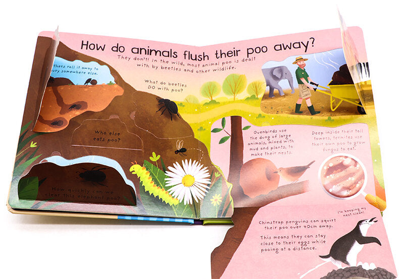 USBORNE First Questions and Answers: Where Does Poo Go? 便便去哪裡了? 啟蒙問答翻翻書